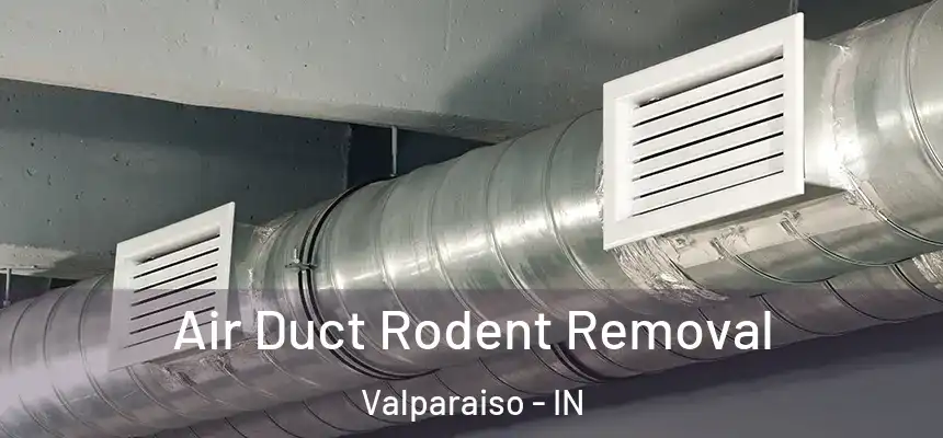  Air Duct Rodent Removal Valparaiso - IN