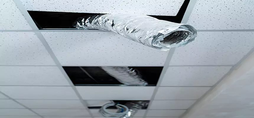 Our Air Duct Pet Hair Removal Services in Valparaiso, IN