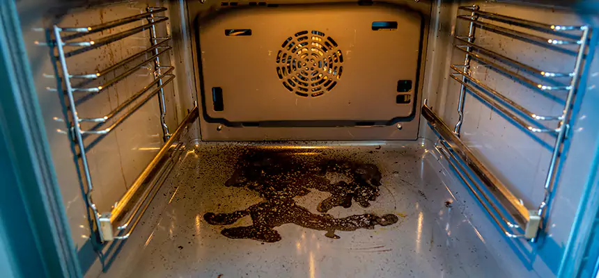 Our Dryer Vent Mold Cleaning Services in Valparaiso, IN