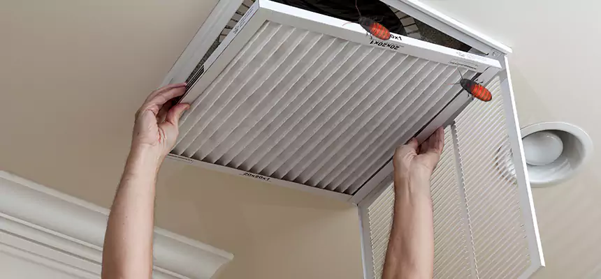 Our Insect Removal from Air Ducts Services in Valparaiso, IN