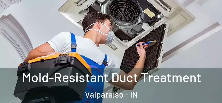  Mold-Resistant Duct Treatment Valparaiso - IN