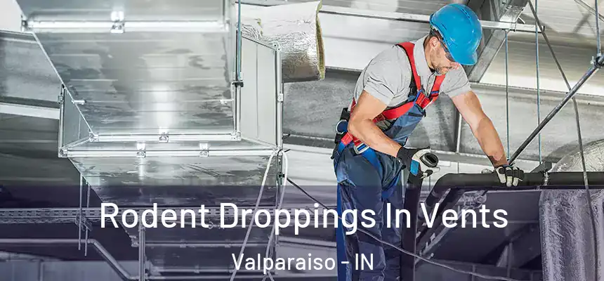  Rodent Droppings In Vents Valparaiso - IN