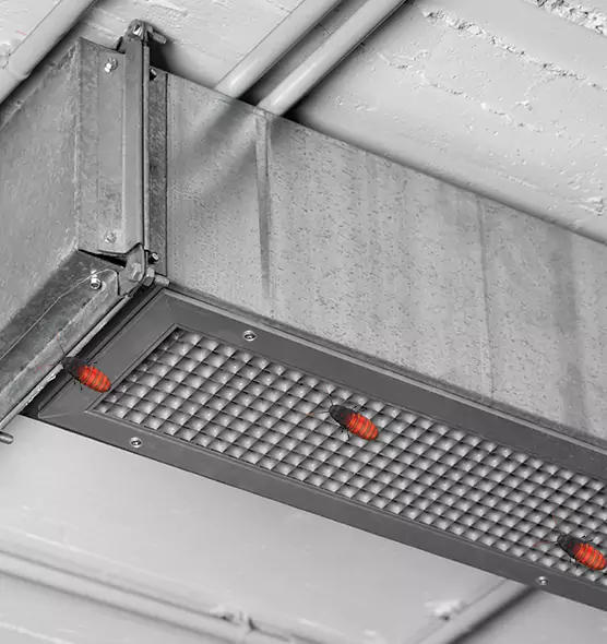 About Air Duct Cockroach Removal in Valparaiso, IN