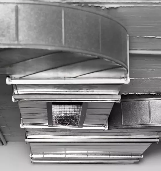 Professional Air Duct Pest Removal in Valparaiso, IN