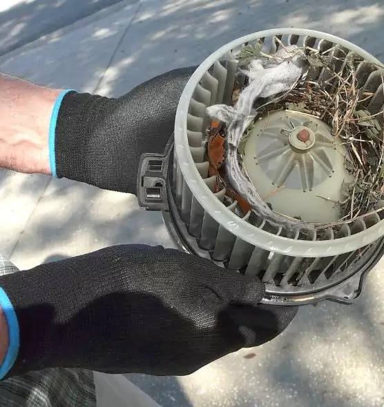 About Air Duct Rat Removal in Valparaiso, IN