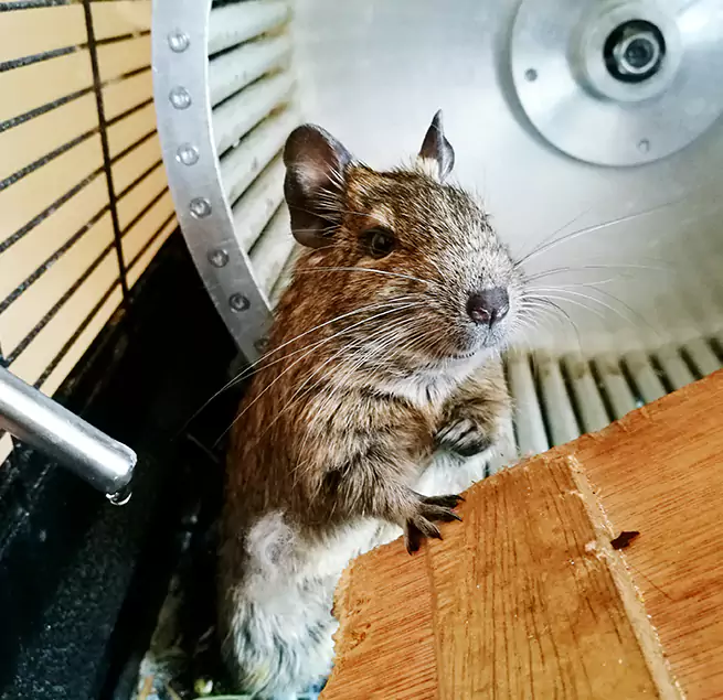 Why Homeowners & Businesses Trust Us Valparaiso, IN?